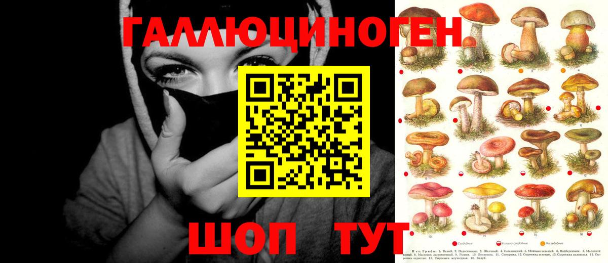 Псилоцибиновые грибы Magic Shrooms Верхняя Пышма