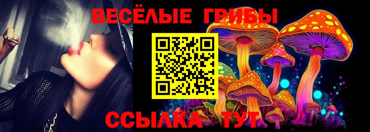 Галлюциногенные грибы мухоморы  Вход с VPN  Верхняя Пышма  Псилоцибиновые грибы мицелий 